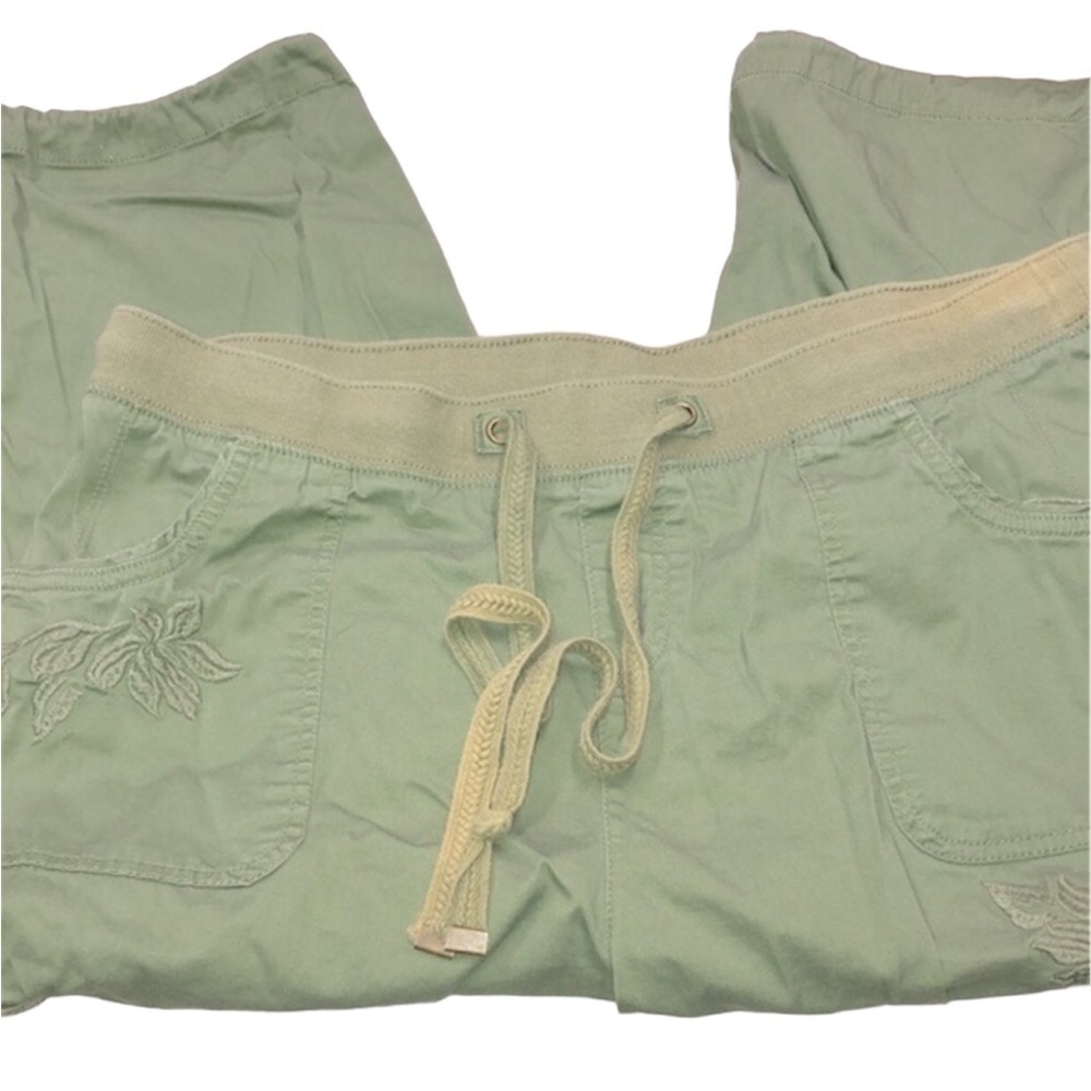 Terra & Sky Green pants size 14W